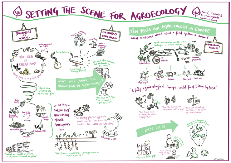 Setting the scene for agroecology FFCC ©Envirovisuals