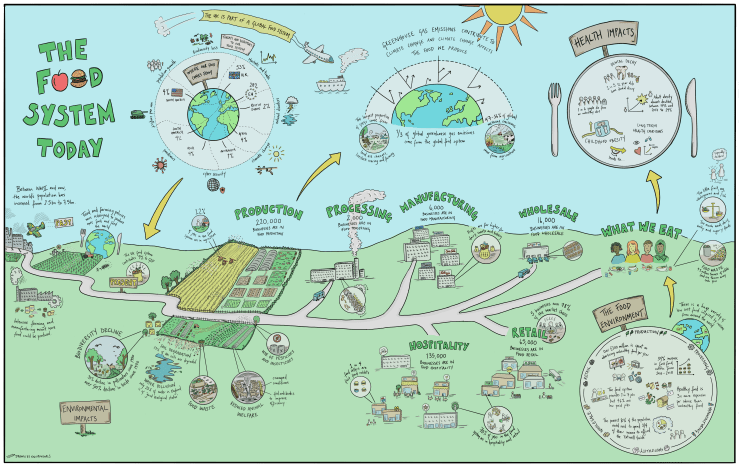 The Food Foundation the food system today, ©Envirovisuals