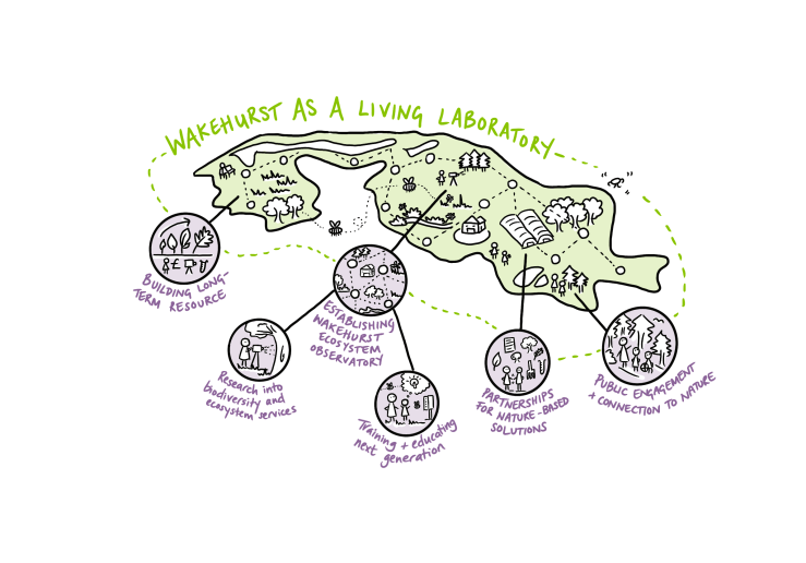 Wakehurst as a living laboratory ©Envirovisuals